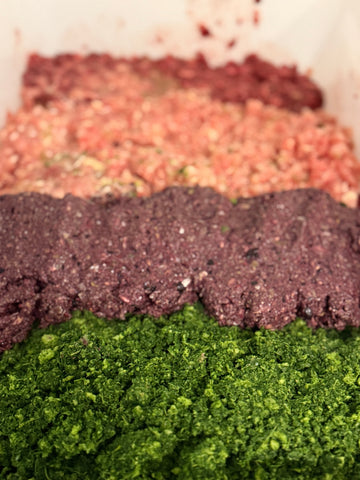 A large kitchen container holds colorful rows of ground chicken, ground pork, organ meats, berries and herbs which will become a raw meal for dogs.